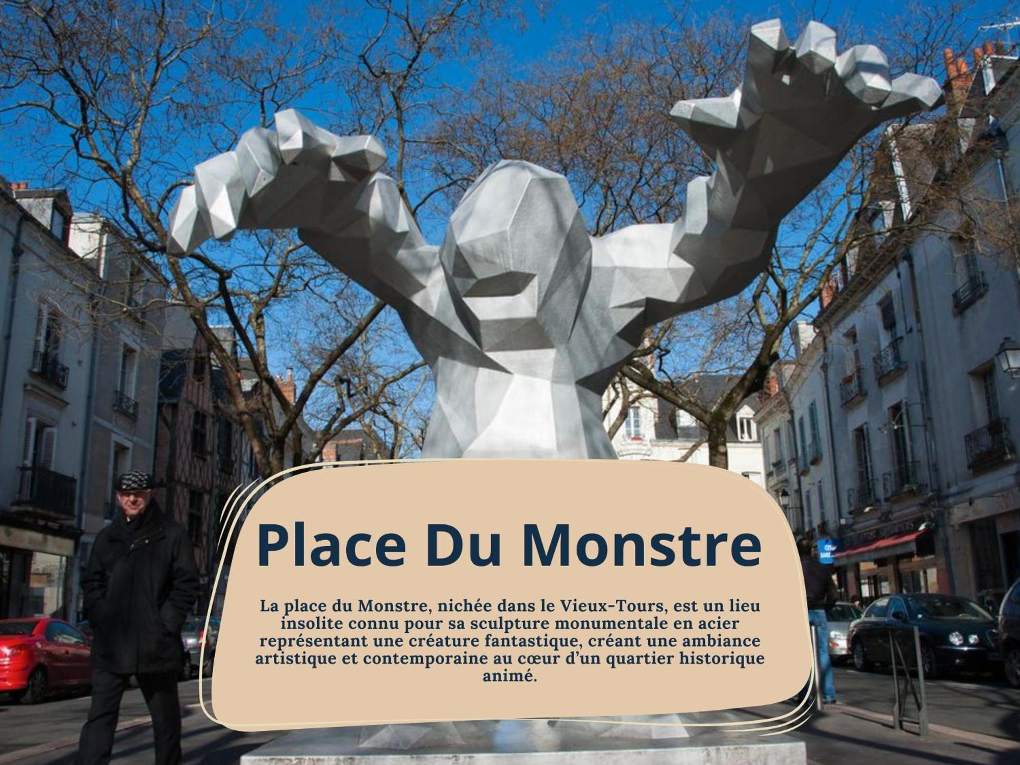 Begonia - Place Plumereau Tours Exterior foto