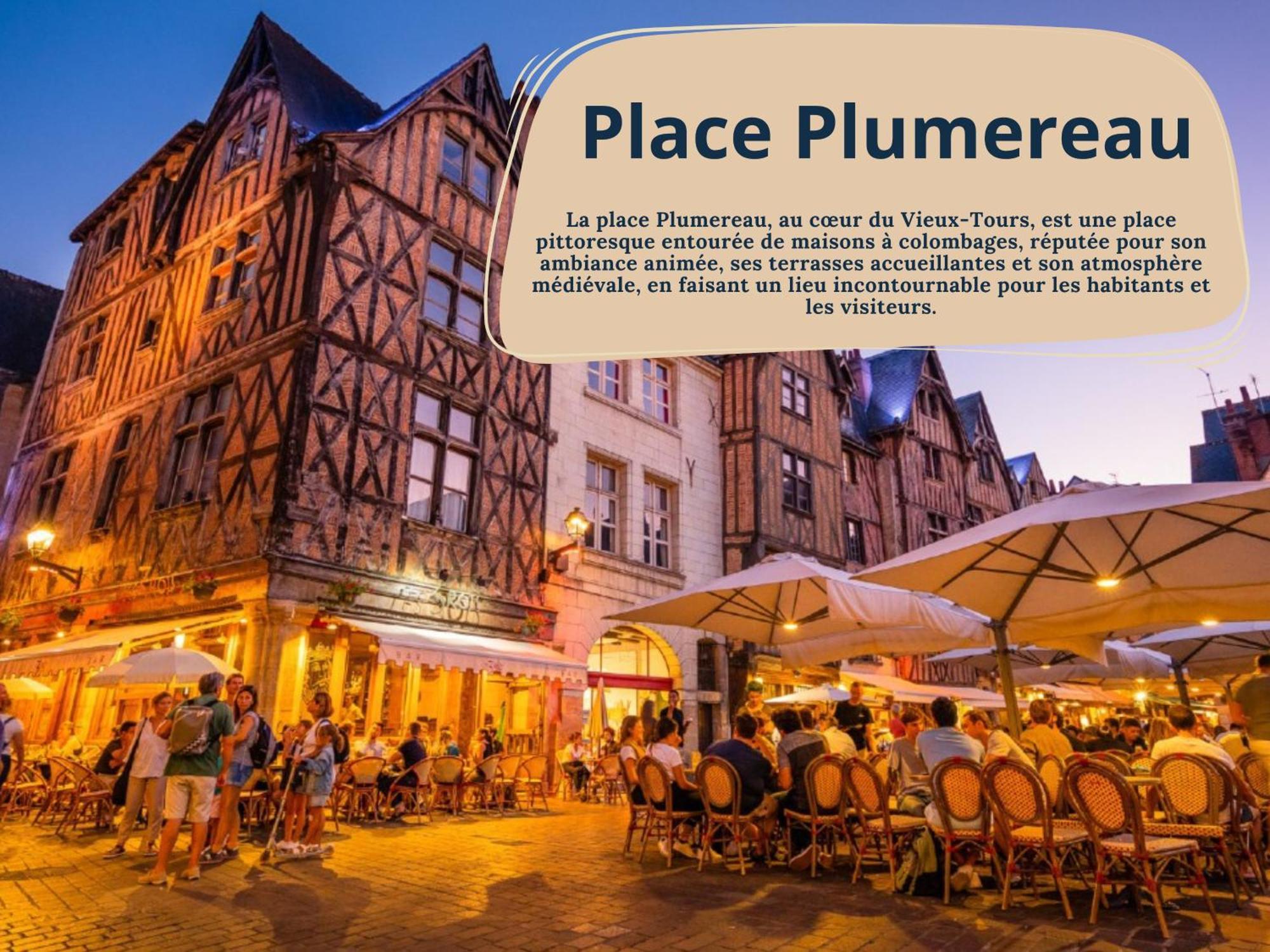 Begonia - Place Plumereau Tours Exterior foto